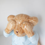 Pote Urso Einstein - Azul - Celina Dias bebê
